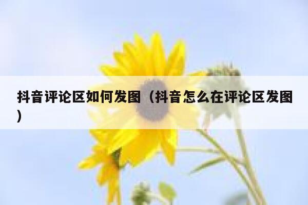 抖音评论区如何发图（抖音怎么在评论区发图） 第1张