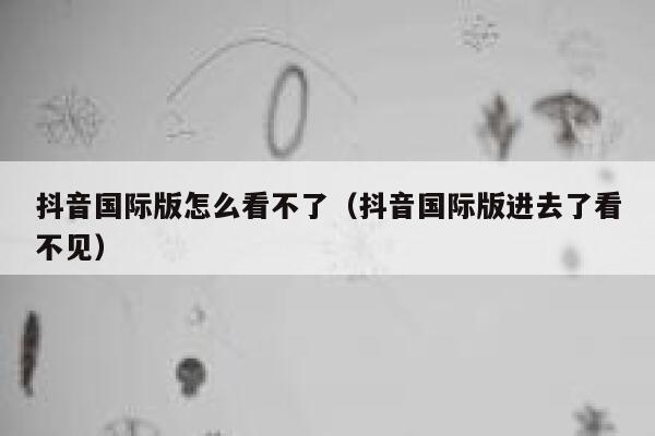 抖音国际版怎么看不了（抖音国际版进去了看不见） 第1张