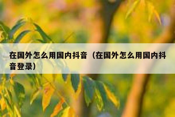 在国外怎么用国内抖音（在国外怎么用国内抖音登录） 第1张