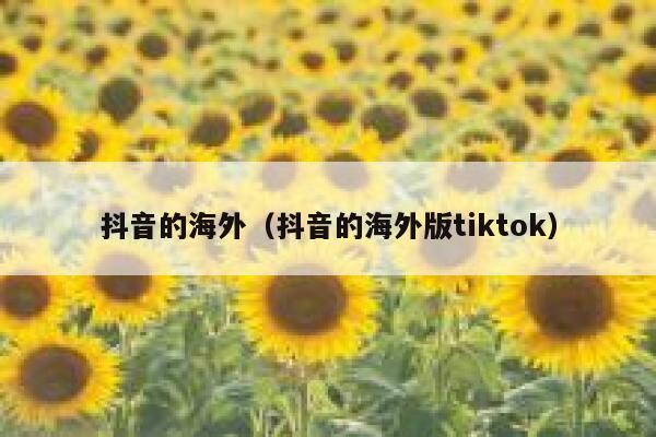 抖音的海外（抖音的海外版tiktok） 第1张