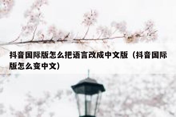 抖音国际版怎么把语言改成中文版（抖音国际版怎么变中文） 第1张