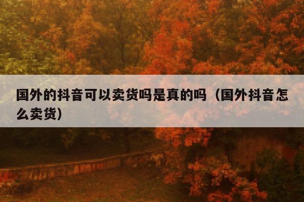 国外的抖音可以卖货吗是真的吗（国外抖音怎么卖货） 第1张