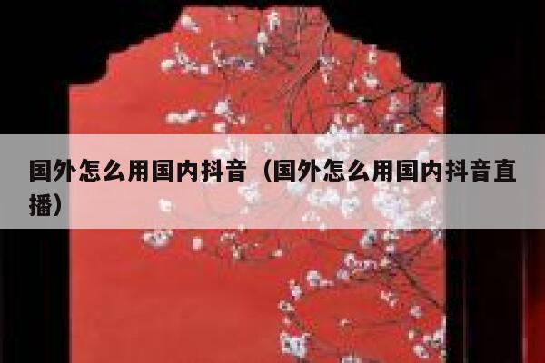 国外怎么用国内抖音（国外怎么用国内抖音直播） 第1张