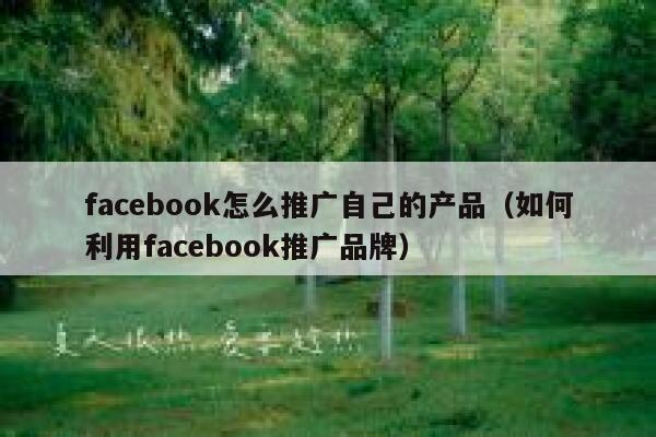 facebook怎么推广自己的产品（如何利用facebook推广品牌） 第1张