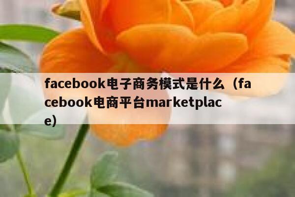 facebook电子商务模式是什么（facebook电商平台marketplace） 第1张