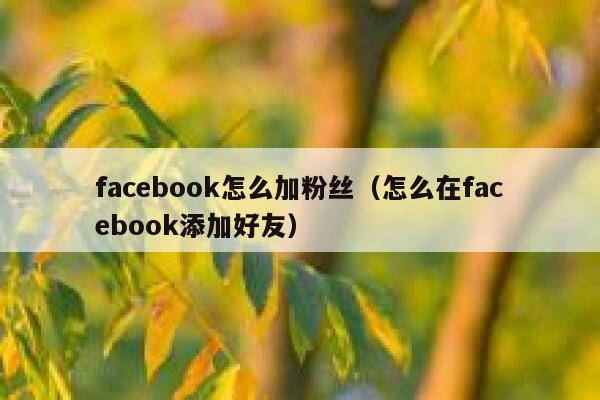 facebook怎么加粉丝(怎么在facebook添加好友) 第1张 facebook怎么加粉丝(怎么在facebook添加好友) 第1张