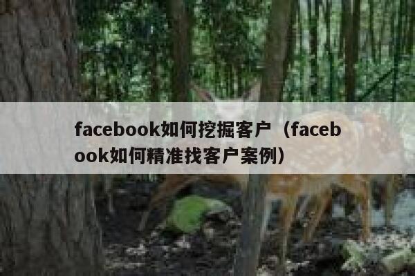 facebook如何挖掘客户（facebook如何精准找客户案例） 第1张