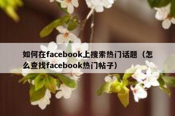 如何在facebook上搜索热门话题(怎么查找facebook热门帖子) 第1张 如何在facebook上搜索热门话题(怎么查找facebook热门帖子) 第1张