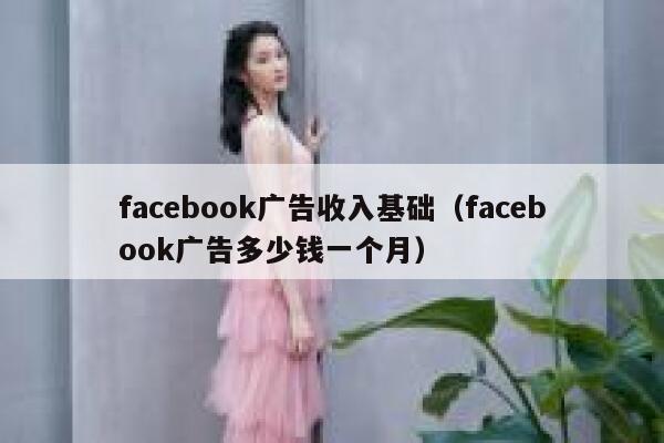 facebook广告收入基础(facebook广告多少钱一个月) 第1张 facebook广告收入基础(facebook广告多少钱一个月) 第1张