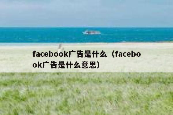 facebook广告是什么(facebook广告是什么意思) 第1张 facebook广告是什么(facebook广告是什么意思) 第1张