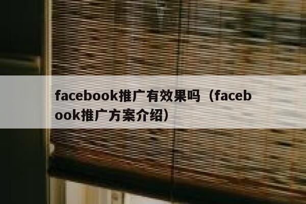 facebook推广有效果吗(facebook推广方案介绍) 第1张 facebook推广有效果吗(facebook推广方案介绍) 第1张