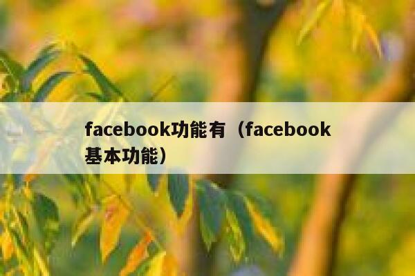 facebook功能有(facebook基本功能) 第1张 facebook功能有(facebook基本功能) 第1张