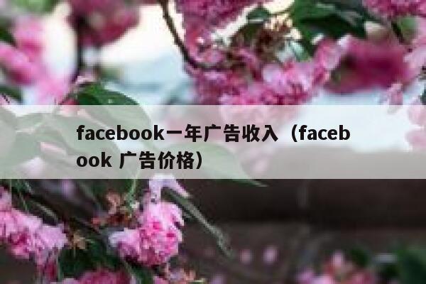 facebook一年广告收入（facebook 广告价格） 第1张