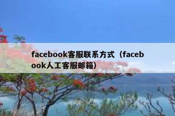 facebook客服联系方式（facebook人工客服邮箱） 第1张
