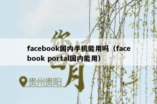 facebook国内手机能用吗（facebook portal国内能用） 第1张