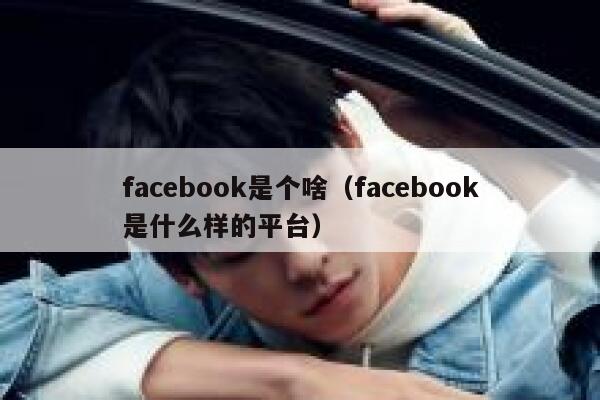 facebook是个啥（facebook是什么样的平台） 第1张