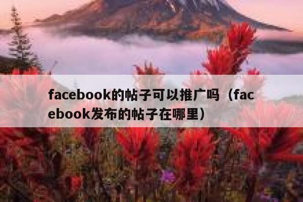 facebook的帖子可以推广吗（facebook发布的帖子在哪里） 第1张