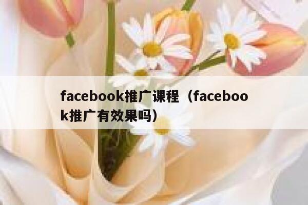 facebook推广课程（facebook推广有效果吗） 第1张