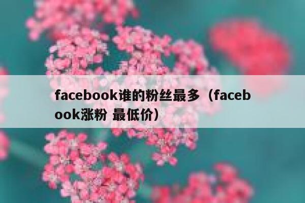 facebook谁的粉丝最多（facebook涨粉 最低价） 第1张
