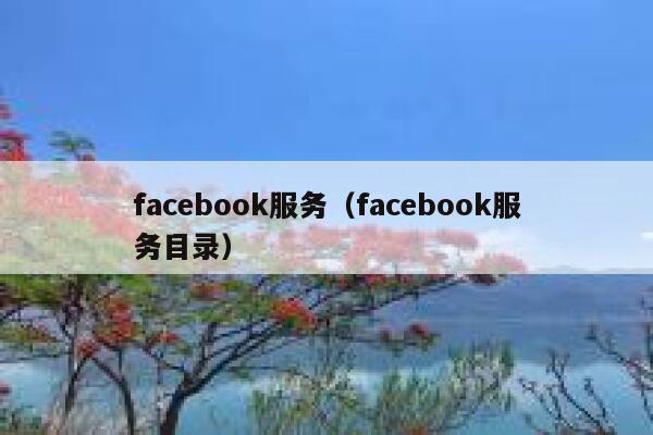 facebook服务（facebook服务目录） 第1张