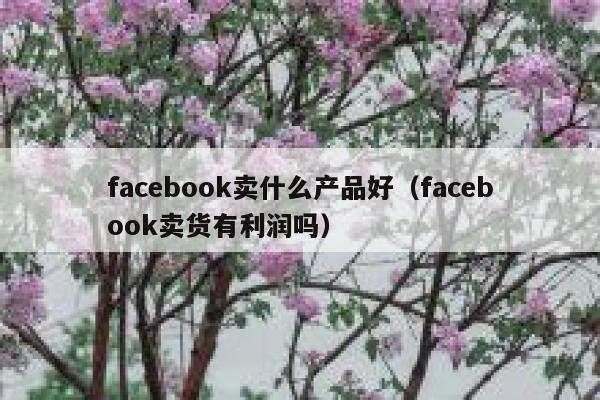 facebook卖什么产品好(facebook卖货有利润吗) 第1张 facebook卖什么产品好(facebook卖货有利润吗) 第1张