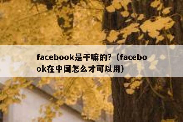 facebook是干嘛的?（facebook在中国怎么才可以用） 第1张