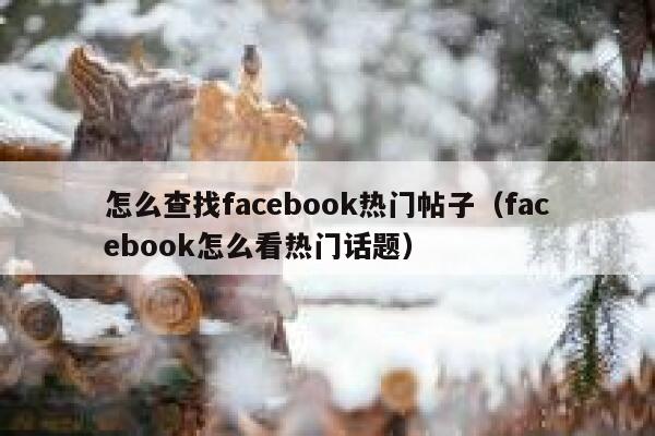 怎么查找facebook热门帖子（facebook怎么看热门话题） 第1张