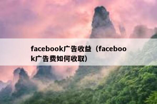 facebook广告收益（facebook广告费如何收取） 第1张
