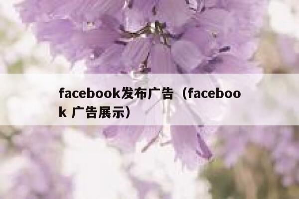facebook发布广告（facebook 广告展示） 第1张