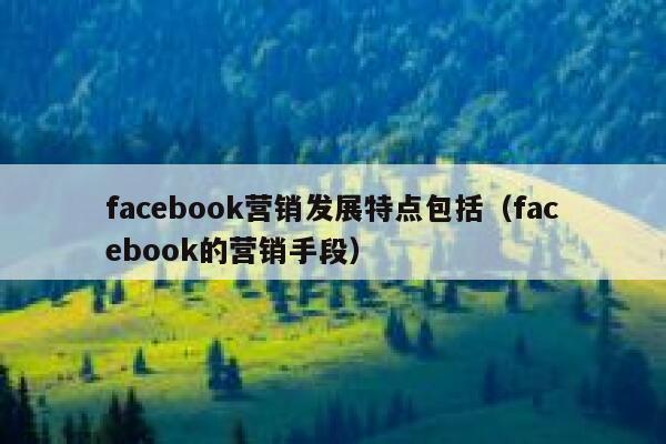 facebook营销发展特点包括(facebook的营销手段) 第1张 facebook营销发展特点包括(facebook的营销手段) 第1张