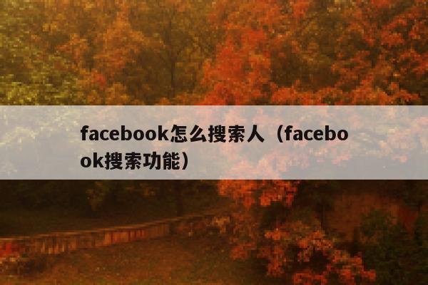 facebook怎么搜索人（facebook搜索功能） 第1张