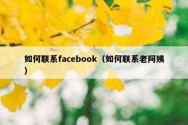 如何联系facebook(如何联系老阿姨) 第1张 如何联系facebook(如何联系老阿姨) 第1张