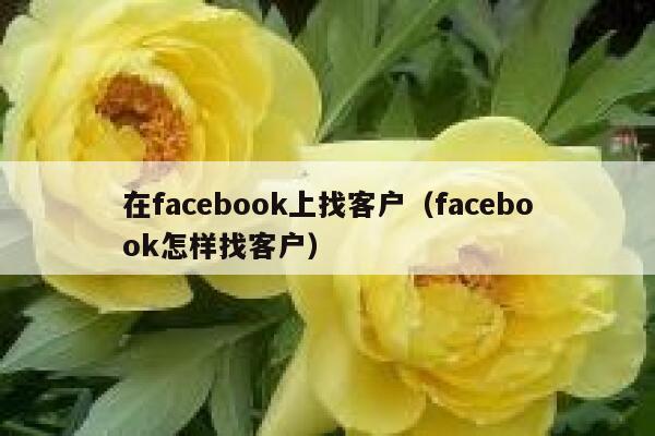 在facebook上找客户（facebook怎样找客户） 第1张