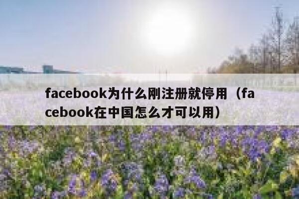 facebook为什么刚注册就停用（facebook在中国怎么才可以用） 第1张