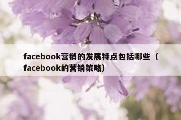 facebook营销的发展特点包括哪些(facebook的营销策略) 第1张 facebook营销的发展特点包括哪些(facebook的营销策略) 第1张