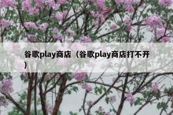 谷歌play商店(谷歌play商店打不开) 第1张 谷歌play商店(谷歌play商店打不开) 第1张