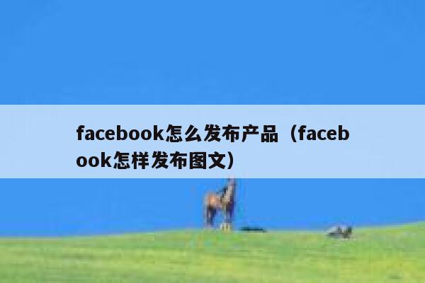 facebook怎么发布产品(facebook怎样发布图文) 第1张 facebook怎么发布产品(facebook怎样发布图文) 第1张