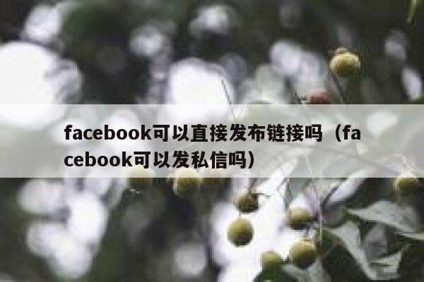 facebook可以直接发布链接吗（facebook可以发私信吗） 第1张