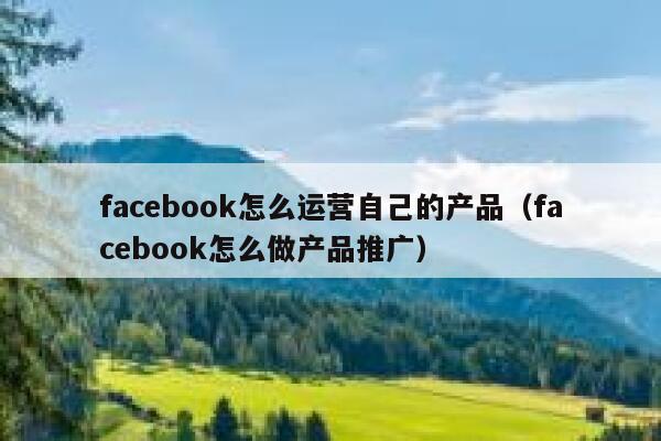 facebook怎么运营自己的产品(facebook怎么做产品推广) 第1张 facebook怎么运营自己的产品(facebook怎么做产品推广) 第1张