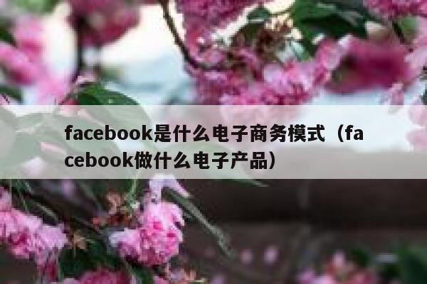 facebook是什么电子商务模式(facebook做什么电子产品) 第1张 facebook是什么电子商务模式(facebook做什么电子产品) 第1张