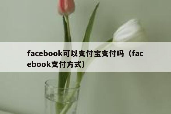 facebook可以支付宝支付吗(facebook支付方式) 第1张 facebook可以支付宝支付吗(facebook支付方式) 第1张
