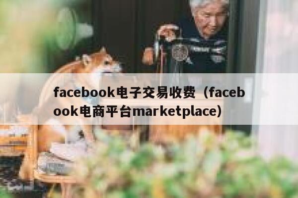 facebook电子交易收费（facebook电商平台marketplace） 第1张
