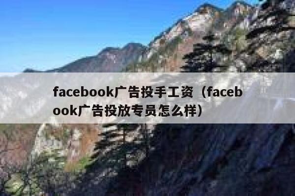 facebook广告投手工资（facebook广告投放专员怎么样） 第1张