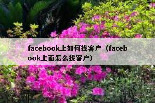 facebook上如何找客户（facebook上面怎么找客户） 第1张