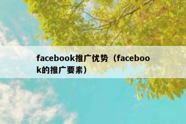 facebook推广优势（facebook的推广要素） 第1张