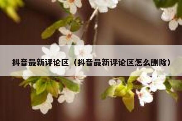 抖音最新评论区(抖音最新评论区怎么删除) 第1张 抖音最新评论区(抖音最新评论区怎么删除) 第1张