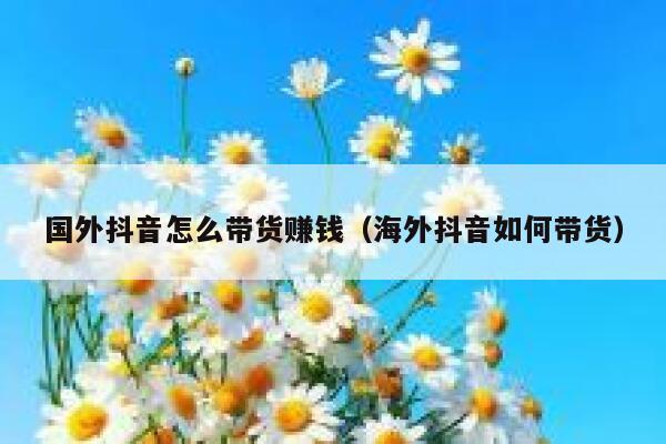 国外抖音怎么带货赚钱（海外抖音如何带货） 第1张