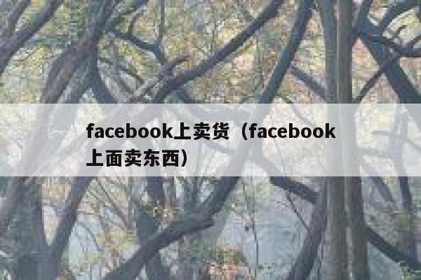 facebook上卖货（facebook上面卖东西） 第1张