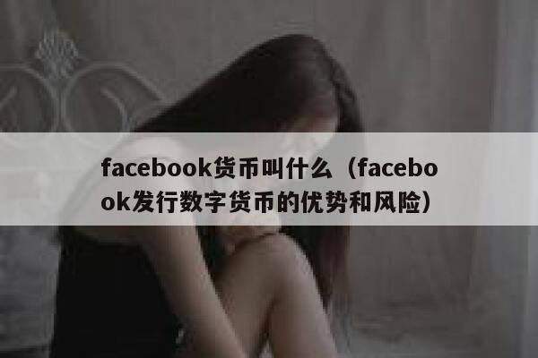 facebook货币叫什么（facebook发行数字货币的优势和风险） 第1张