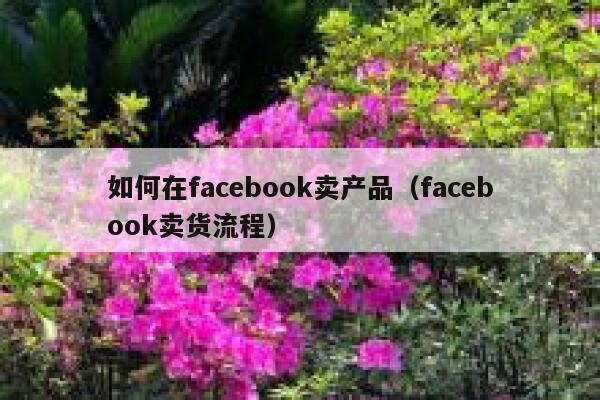 如何在facebook卖产品（facebook卖货流程） 第1张